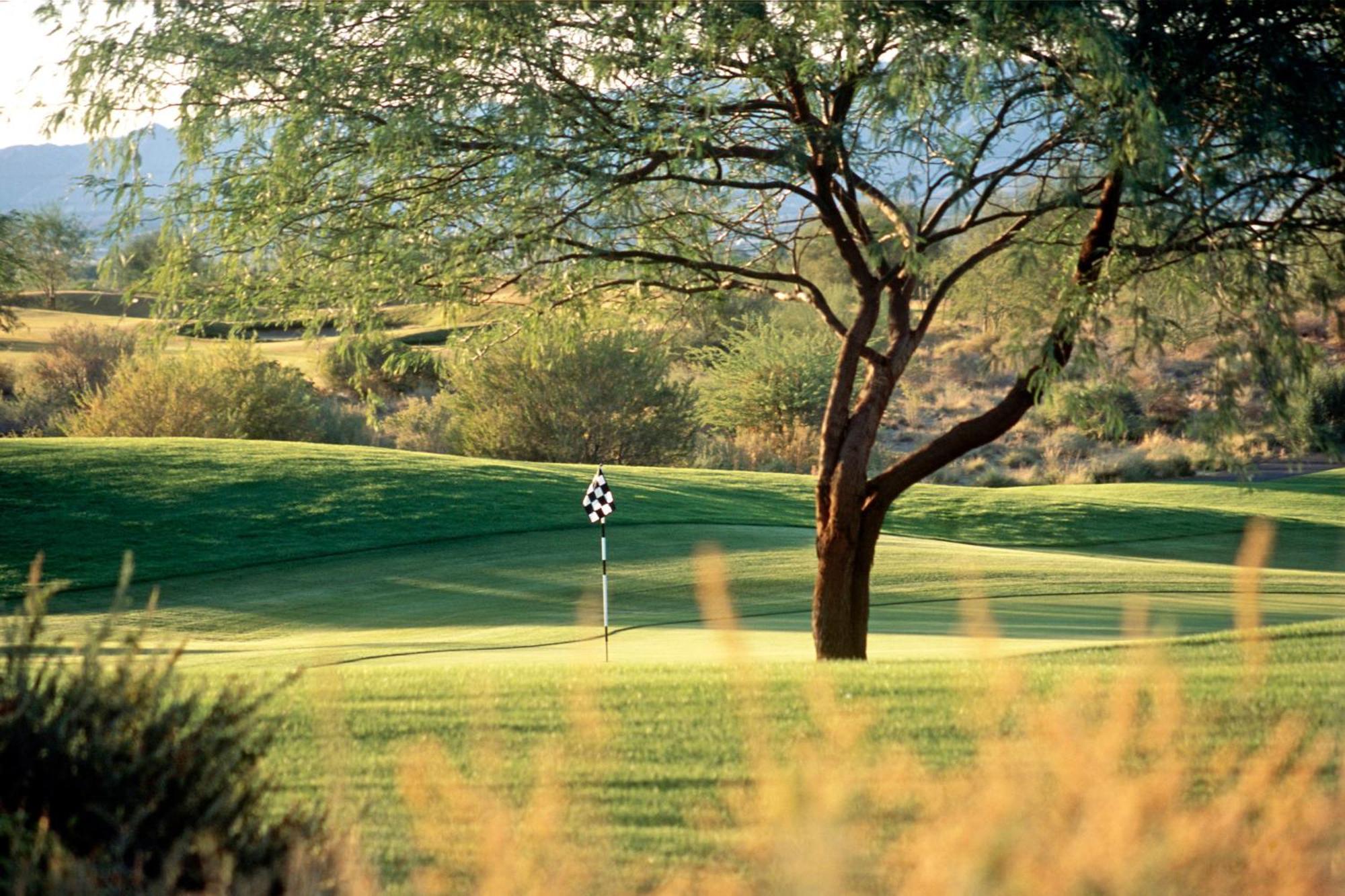 Sheraton Grand At Wild Horse Pass Chandler Exterior foto